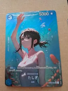 ワンピース　たしぎ　セクシーカード