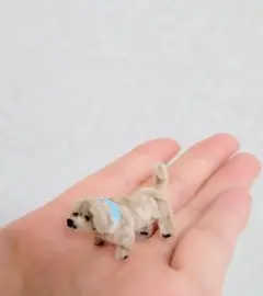 Item thumbnail for item 4e1430dc-f8bc-4588-b0be-f161395cf97f