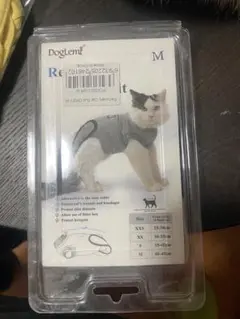 Item thumbnail for item eeedff39-f514-4993-818f-97fefe096e74