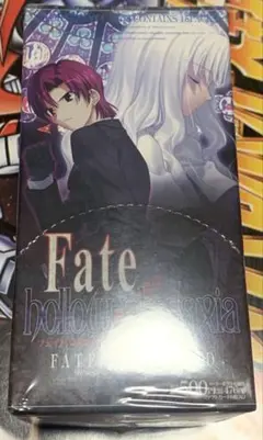 fate hollow ataraxia fact カード　トレカ　まとめ売り Fate/hollow ataraxia FACT CARD まとめ売り