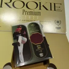 Item thumbnail for item ee1afc47-8a09-43c2-8d93-9c9188344052