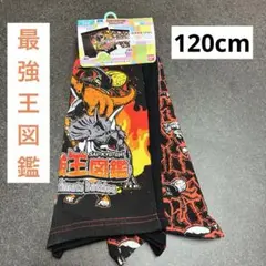 最強王図鑑　 ボクサーパンツ　120cm ２枚セット　 恐竜　新品