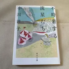 不時着する流星たち