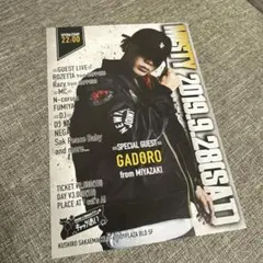 GADORO 宮崎限定ノベルティDVD GADORO 武道館DVD アルバムHOME 宮崎県限定ノベルティDVD - メルカリ