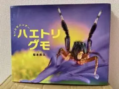 ちいさなハンター ハエトリグモ　坂本昇久