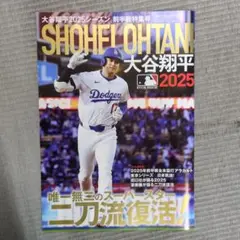 大谷翔平 2025シーズン 前半戦特集号