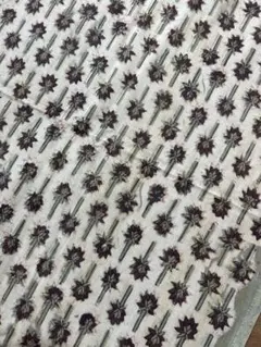 no.1813 ヴァナスパティパティアジュラックプリント