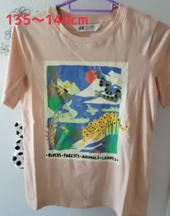 H&M　アニマルプリントTシャツ　135～140cm