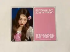 SMTOWN 東京 MD グッズ Red Velvet ジョイ JOY トレカ