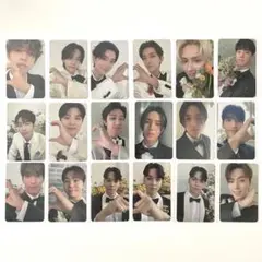 FML carat盤 トレカ