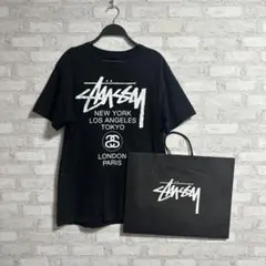 正規品 売り切り！ 早い者勝ち！ STUSSY ワールドツアー Tシャツ
