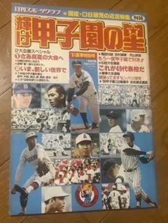 輝け甲子園の星　1981年