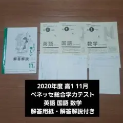 2020年度 高1 11月 ベネッセ総合学力テスト 解答解説あり