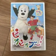 ピカピカブー! DVD