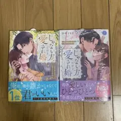 じゃない方、だけど愛され婚～契約婚の相手は一途すぎる社長2