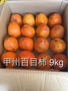 山梨県産 甲州百目柿 渋柿(枯露柿:ころ柿用) 9以上kg