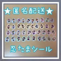 忍たま乱太郎　フレークシール