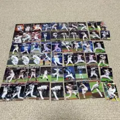 プロ野球チップスカルビー トレーディングカード 46枚セット