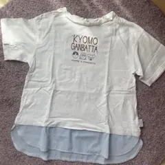 pom ponette KYOMO GANBATTA Tシャツ M