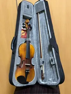 Hall statt バイオリンセット