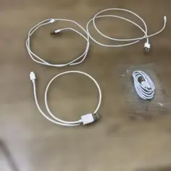 iPhone 充電ケーブル　4本