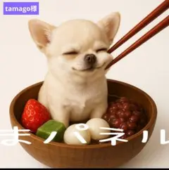 《tamago様》ご専用