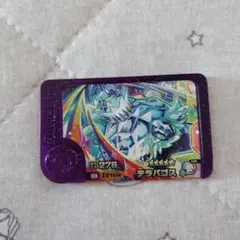 ポケモン　フレンダ テラバゴス