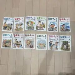 日本の学童ほいく 全12巻セット　2024年度
