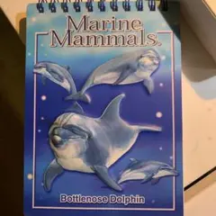Marine Mammals バンドウイルカ　メモ帳
