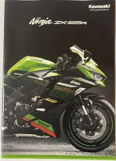 Item thumbnail for item 1941eae1-6ddf-4020-bfd5-7e55da343a7e