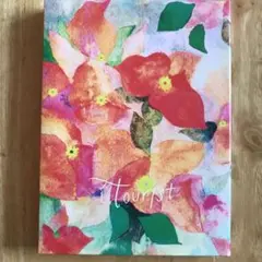 三浦春馬Tourist 2枚組DVD