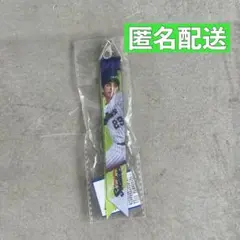 スワローズ 小川泰弘選手 ボンフィン ライアン