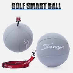 ゴルフ練習器具 キャンディボール ゴルフ スイング 矯正 グレー