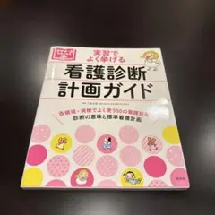看護診断計画ガイド
