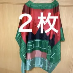 ブラジル館　ポンチョ　ブラジルパビリオン　万博　EXPO 大人用　グリーン