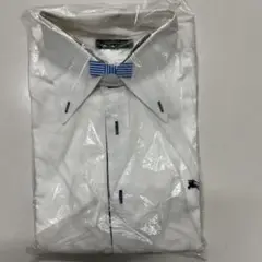Item thumbnail for item 129e3841-e355-469d-b1cc-fe8de2c356d5