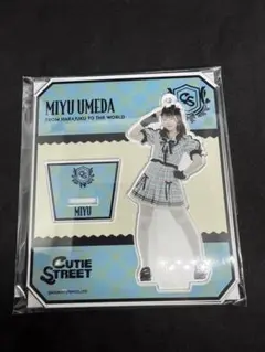 Item thumbnail for item a08e532e-aa1e-42cf-acd0-bf50b5f0e3dd