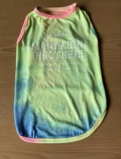 Item thumbnail for item 885a9478-1dc8-49d5-b459-c8590b247647