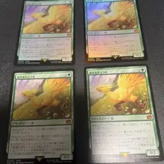 旅するチョコボ　4枚セット
