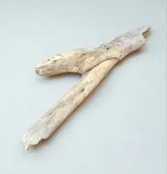 Item thumbnail for item 26acd9c5-ecf1-477d-8656-4a8bd9b0ce16