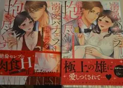 溺愛バチェラーは極上テクで抱き尽くす 上下