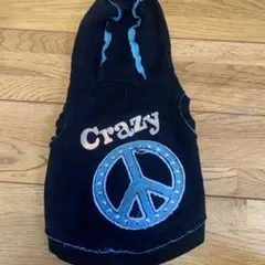 Item thumbnail for item 64a12202-ba2c-4903-b1dc-daa03c37097f