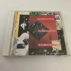 クエスチョン&アンサー　パット・メセニー