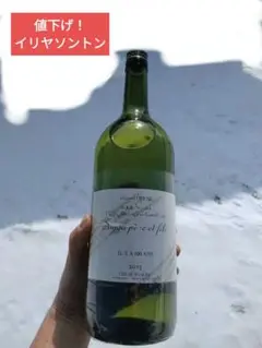 2025年最新】ソガペールエフィス イリヤソントンの人気アイテム