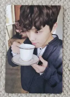 SEVENTEEN セブチGoing Seventeen ディノ トレカ