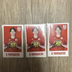 男子バレー モバガチャ 山内
