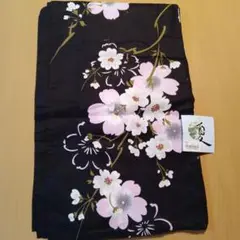 Item thumbnail for item 873f2229-c983-432a-b03b-582883bee9fa