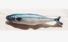 Item thumbnail for item 2acf4ffd-b649-461e-a100-920a39428189