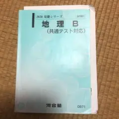 河合塾テキスト 地理B(板書、プリントつき)