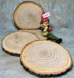 Item thumbnail for item 32d124b5-e128-4826-9fa8-9aefea91eb6d